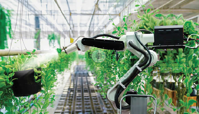 Robotics in Precision Agriculture: Improving Crop Yields