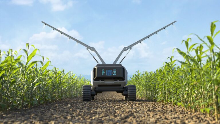 Robotics in Precision Agriculture: Improving Crop Yields